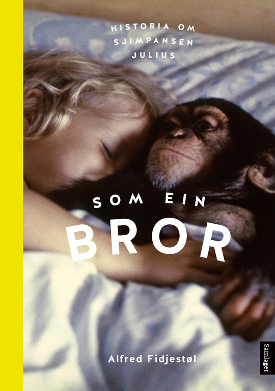 Som ein bror: historia om sjimpansen Julius
