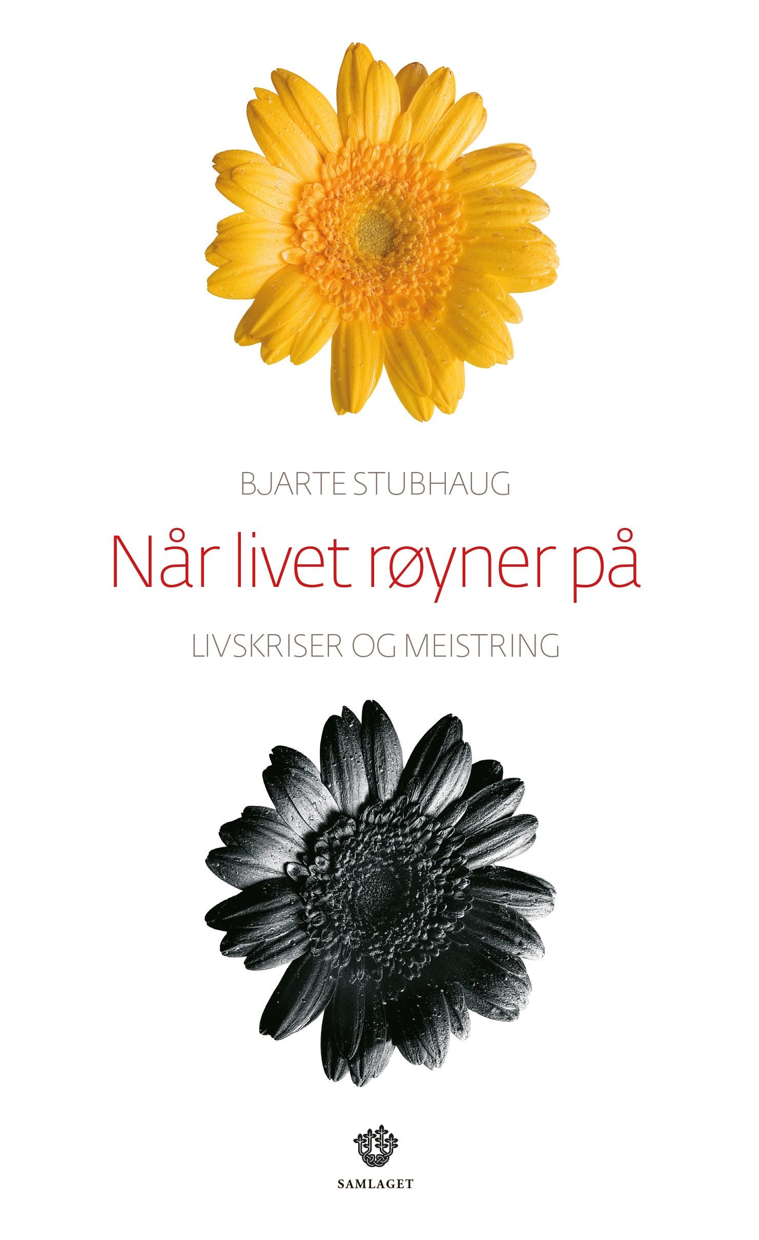 Når livet røyner på: livskriser og meistring