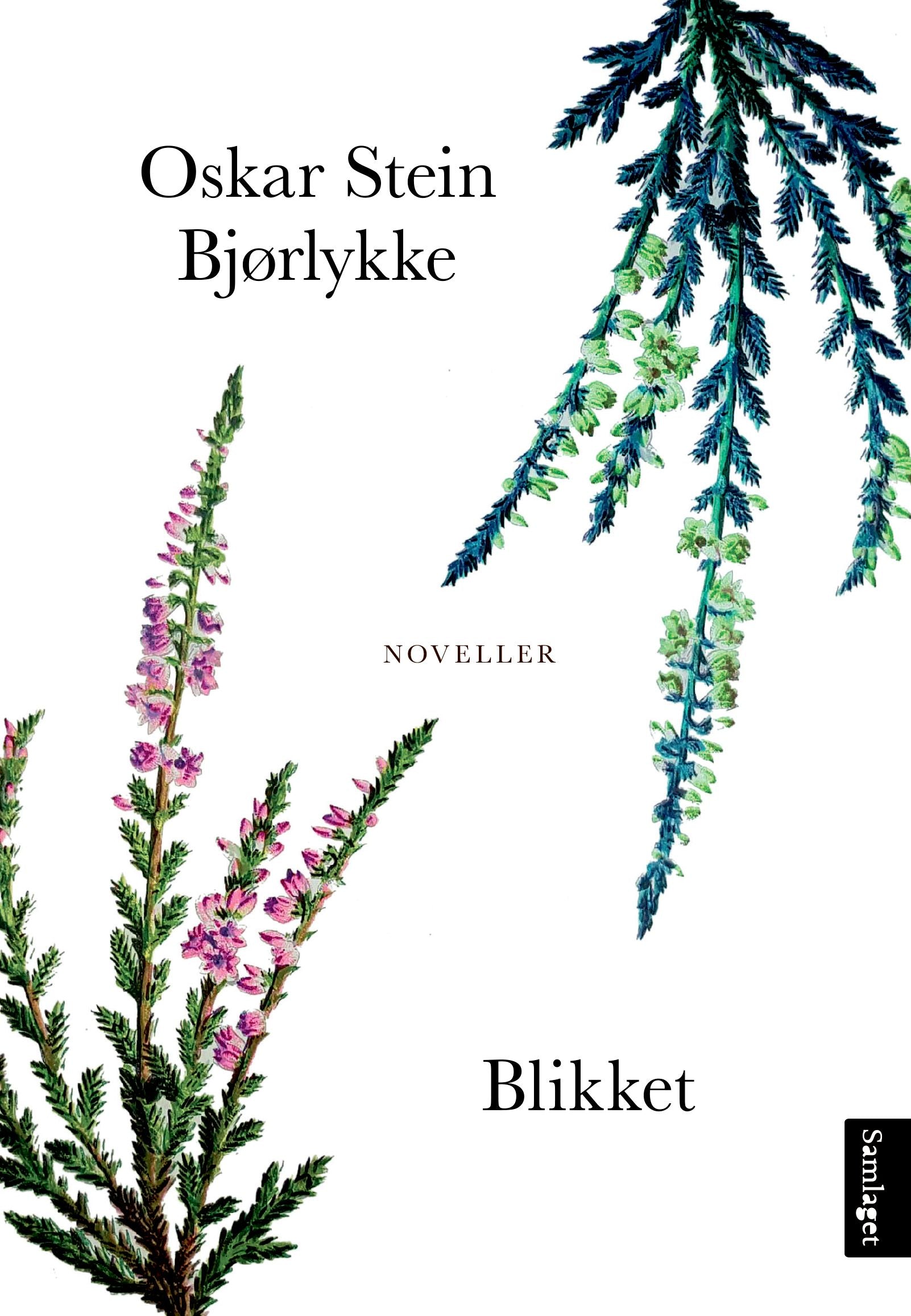 Blikket: noveller