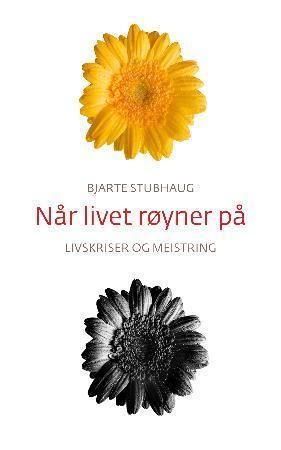 Når livet røyner på: livskriser og meistring