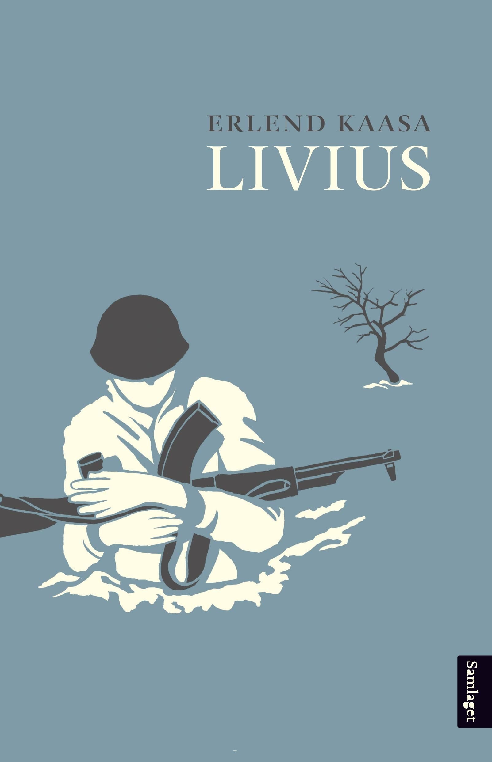 Livius: roman