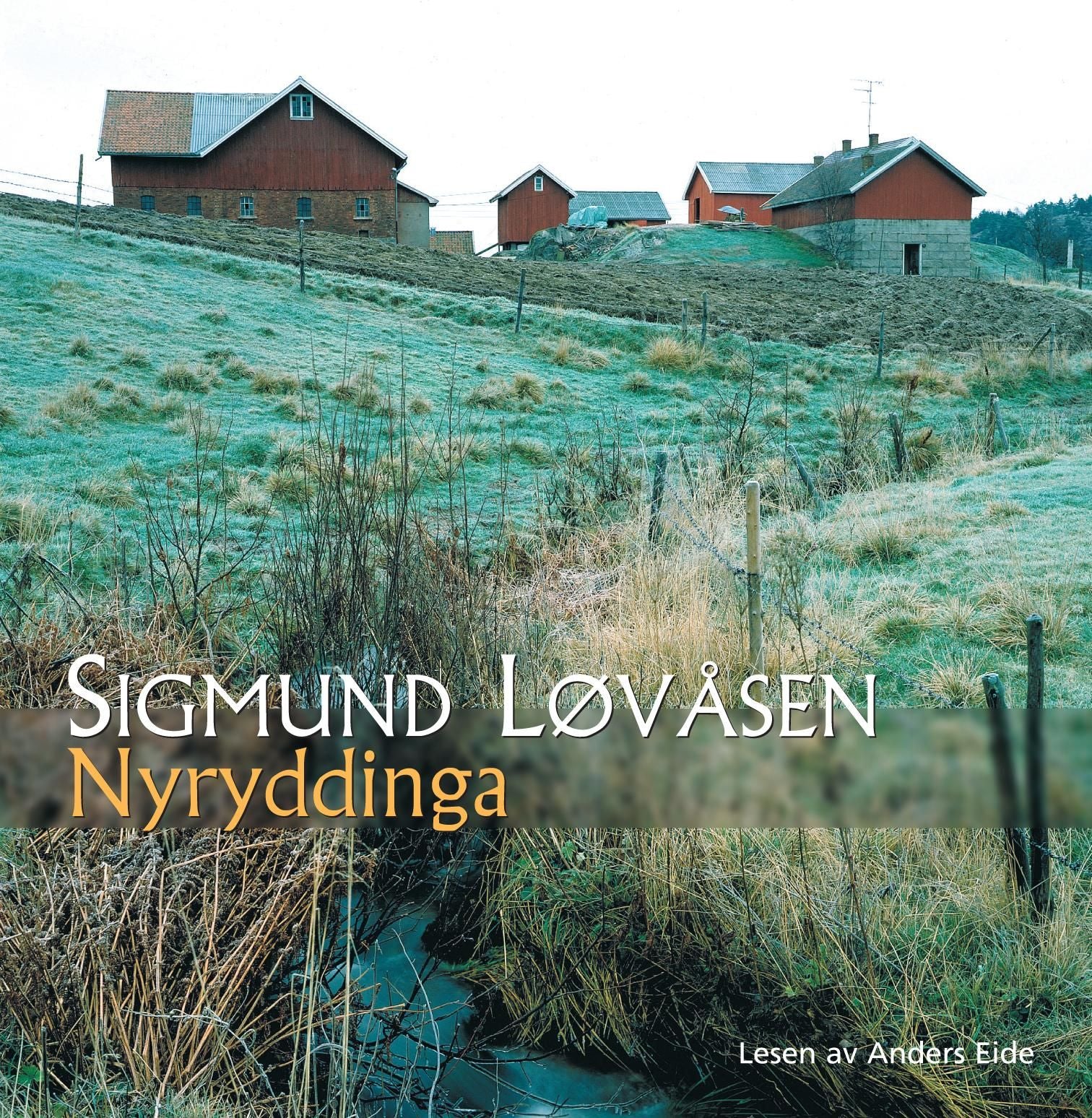 Nyryddinga: roman