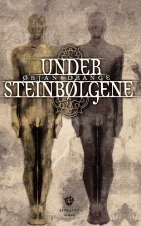 Under steinbølgene: roman