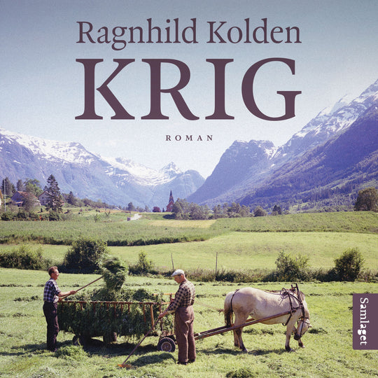 Krig: roman