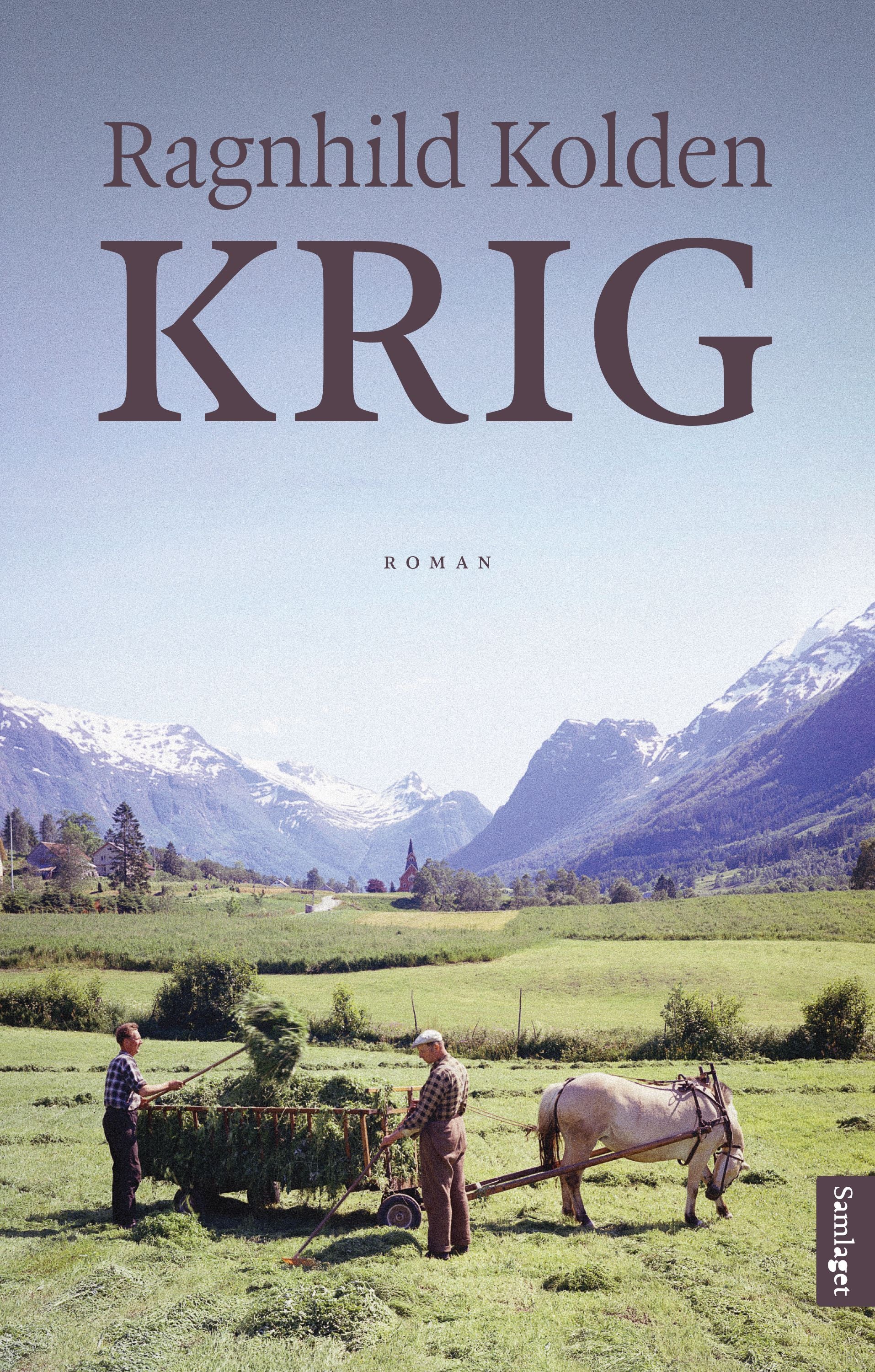 Krig: roman