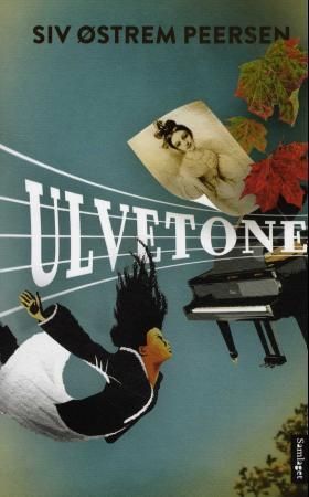 Ulvetone: roman