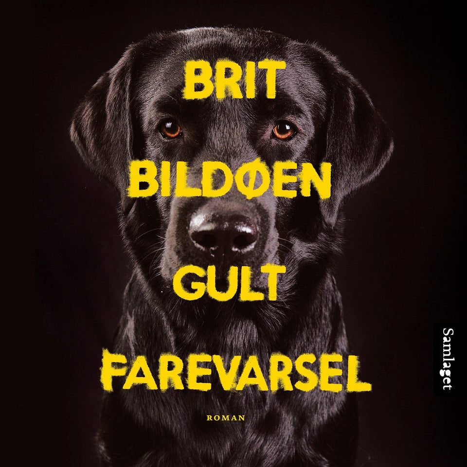 Gult farevarsel: roman