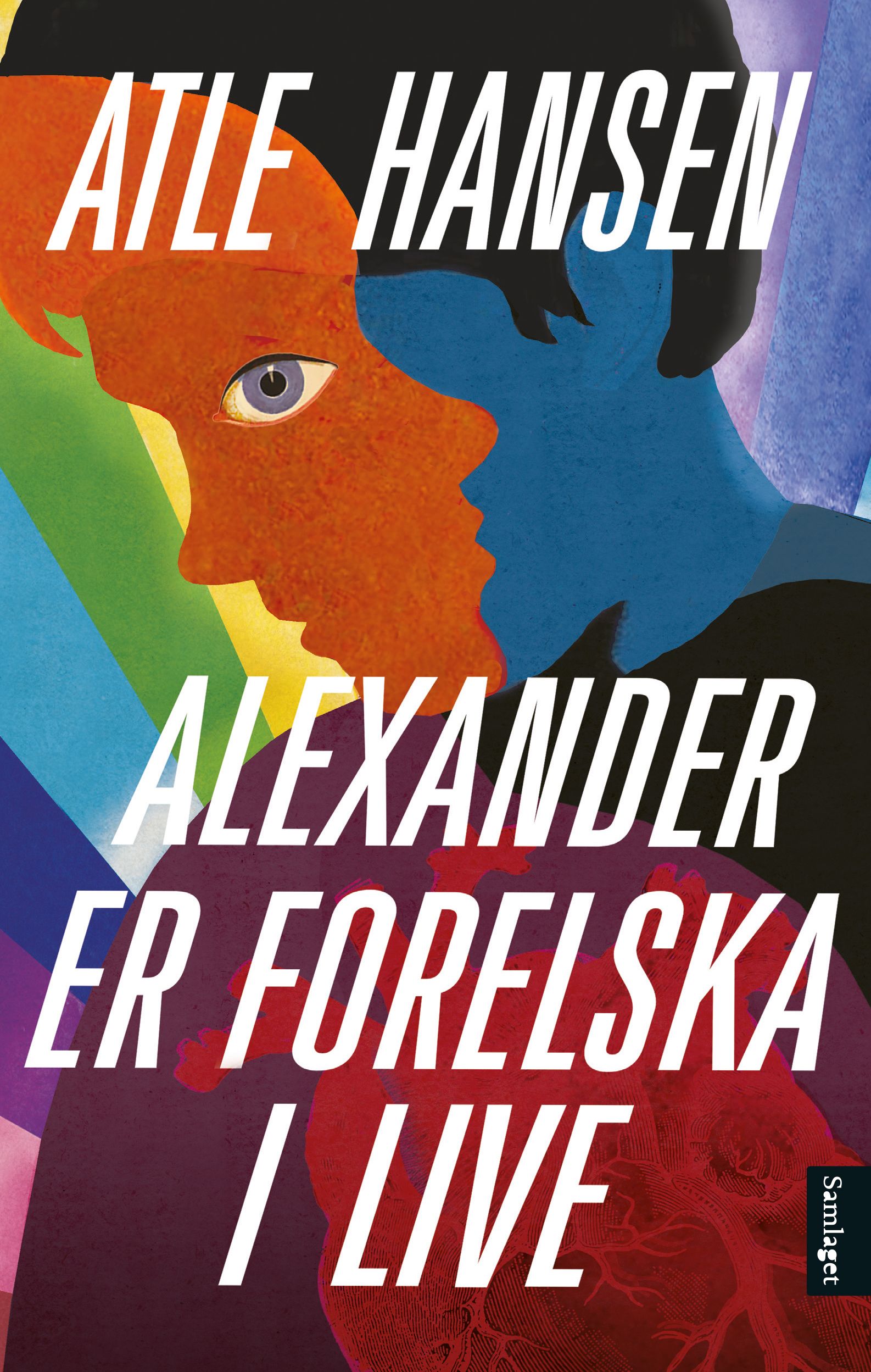 Alexander er forelska i Live: roman