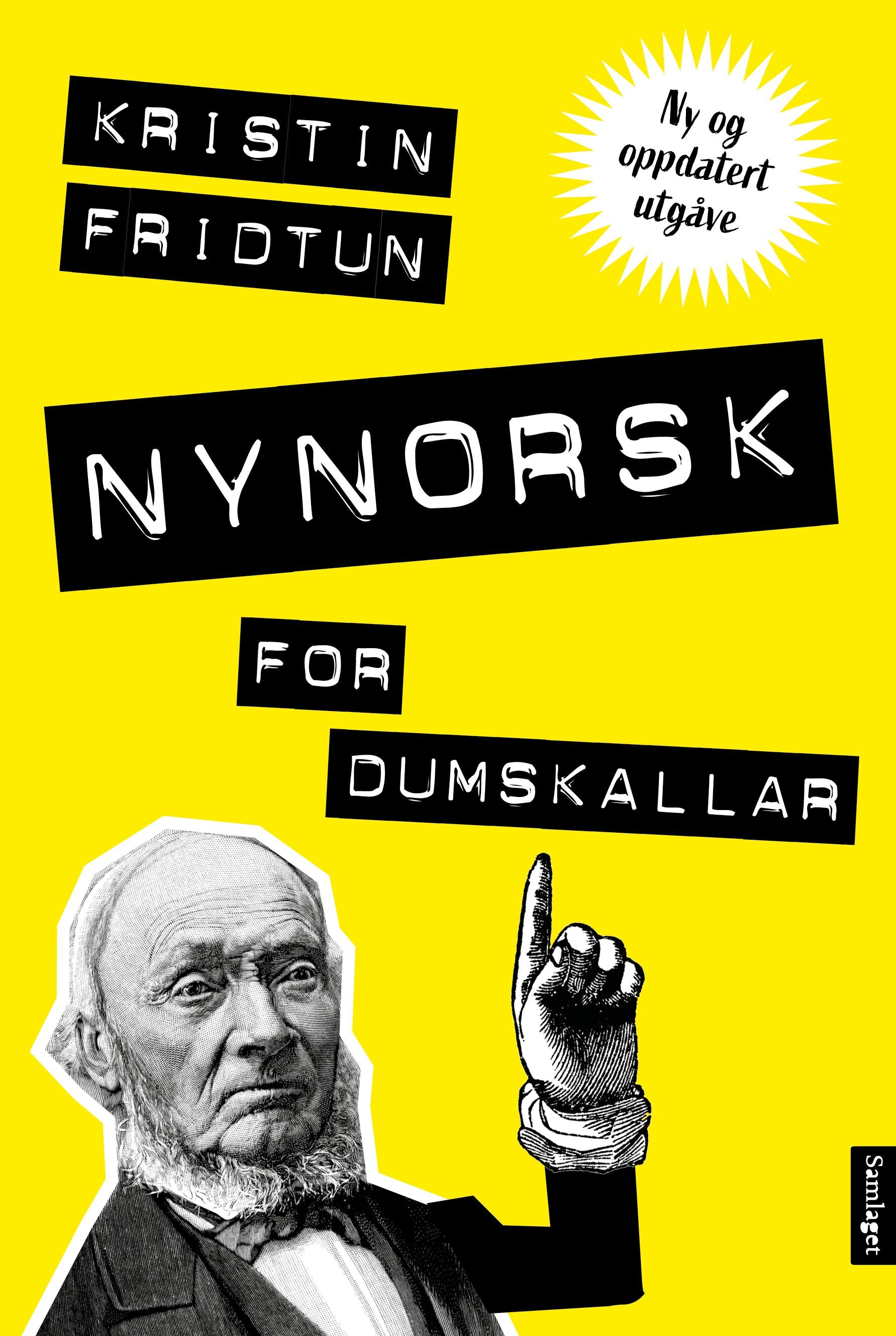 Nynorsk For Dumskallar