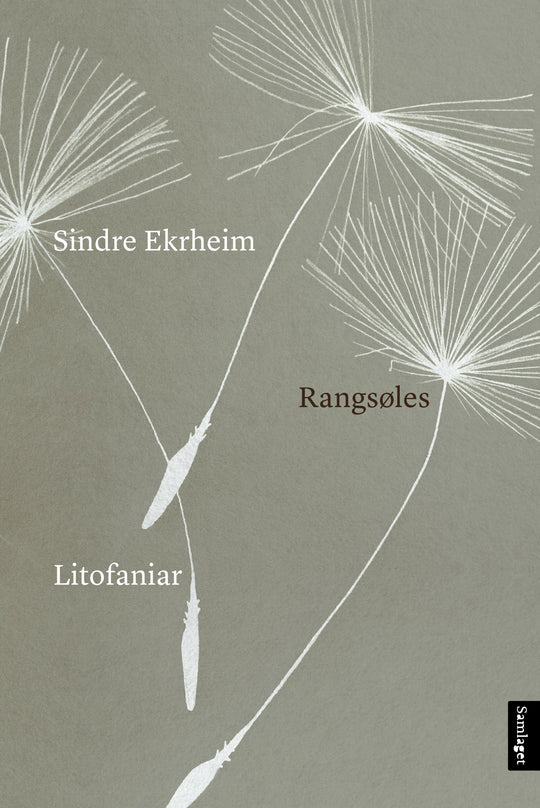 Rangsøles: litofaniar