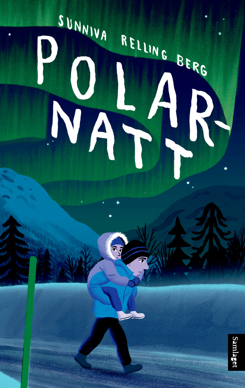 Polarnatt: roman