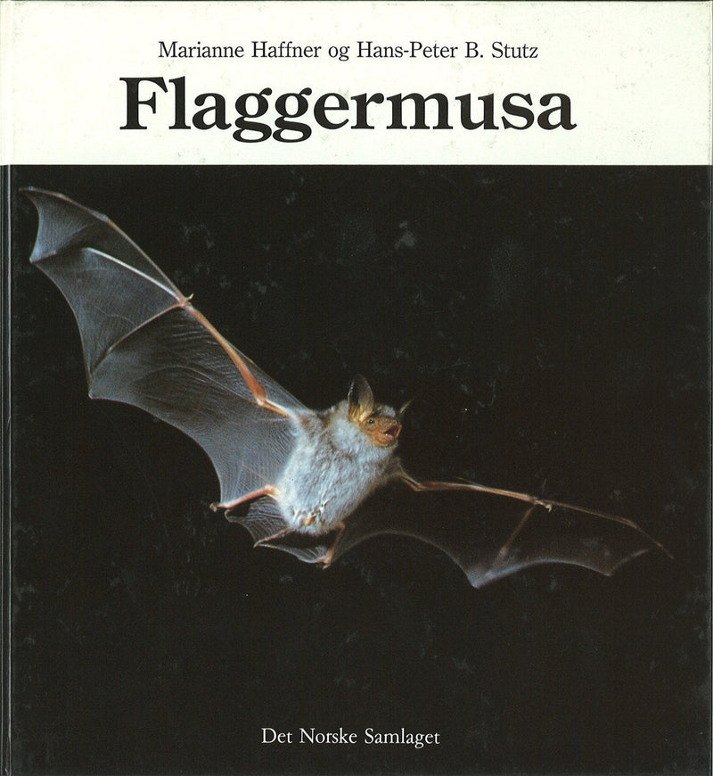 Flaggermusa