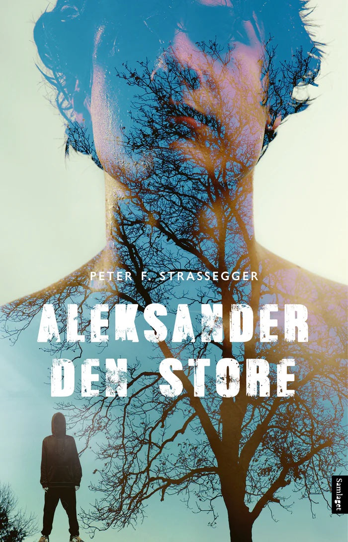 Aleksander den store: roman