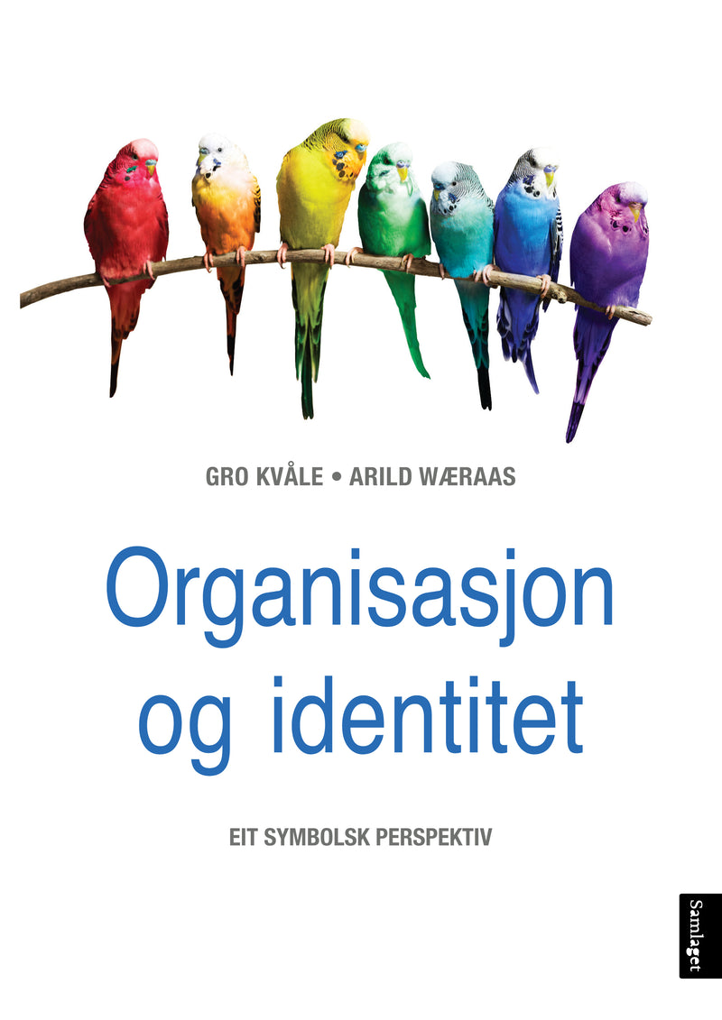 Organisasjon og identitet: eit symbolsk perspektiv